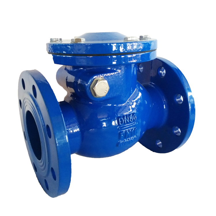 Cast Iron Swing Check Valve