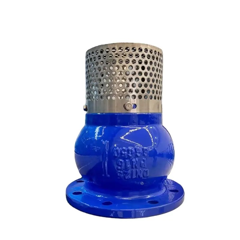 Cast Iron Foot Valve