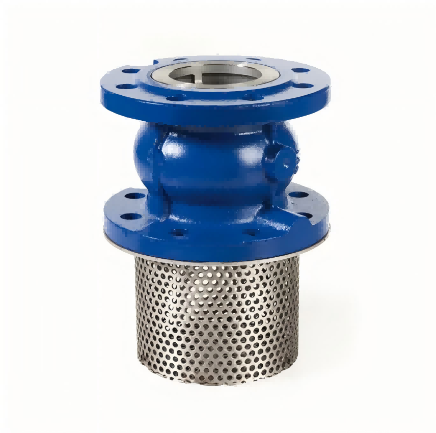 Double Flange Foot Valve
