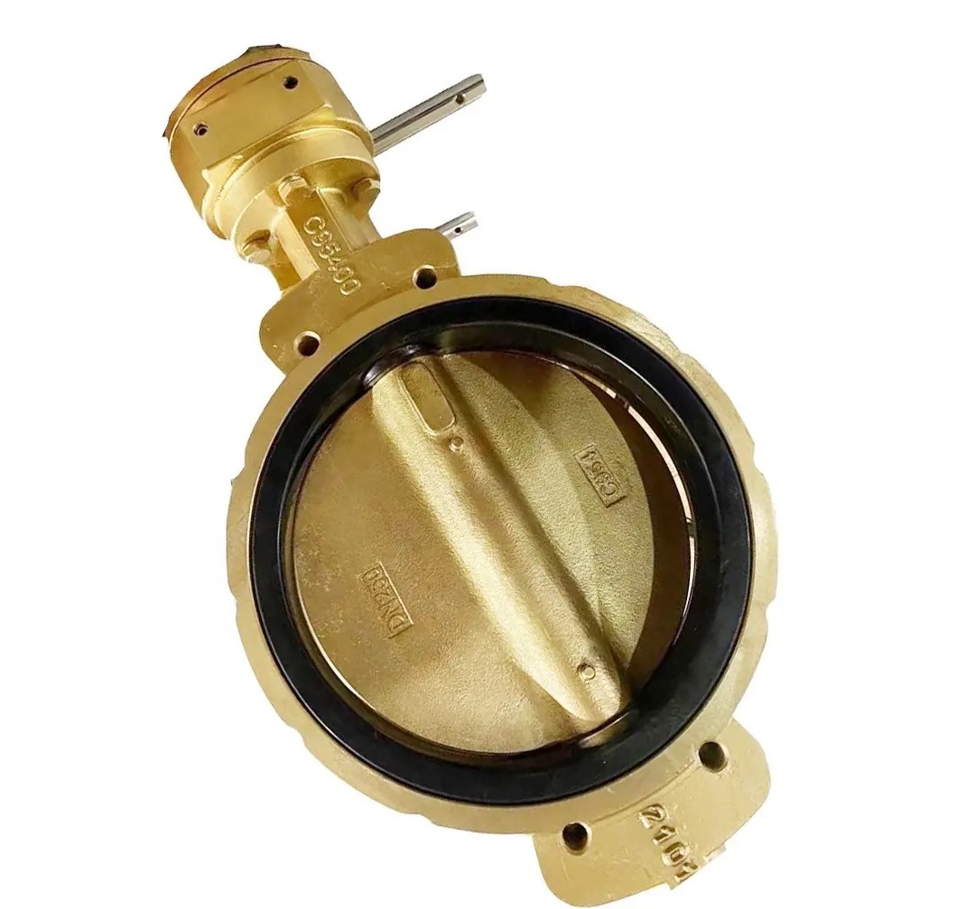 Bronze Marine Wafer Butterfly Valve