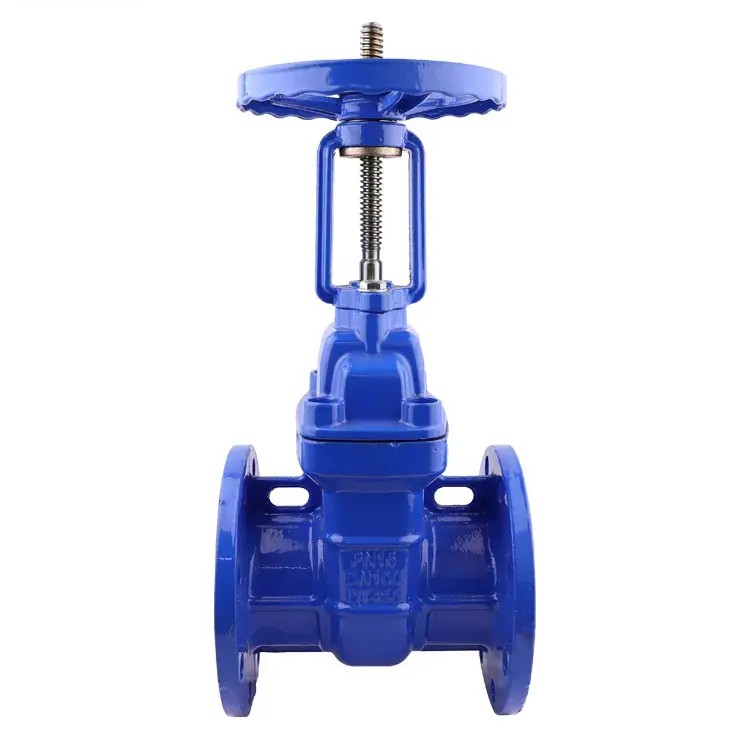 Cast Iron Resilient Gate Valve