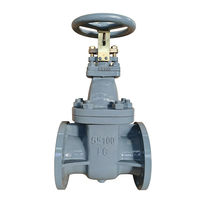 CCS JIS Marine Gate Valve