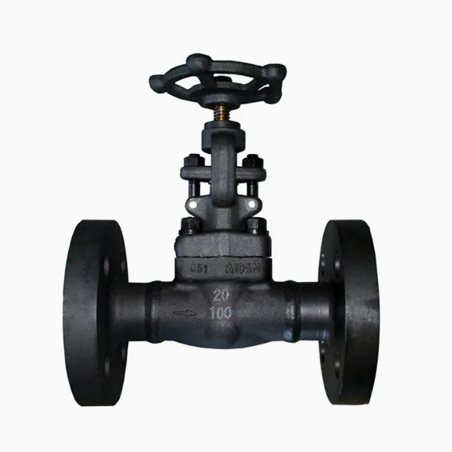Forged Steel A105 Globe Valve